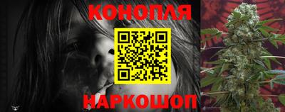 гидропоника Гусев