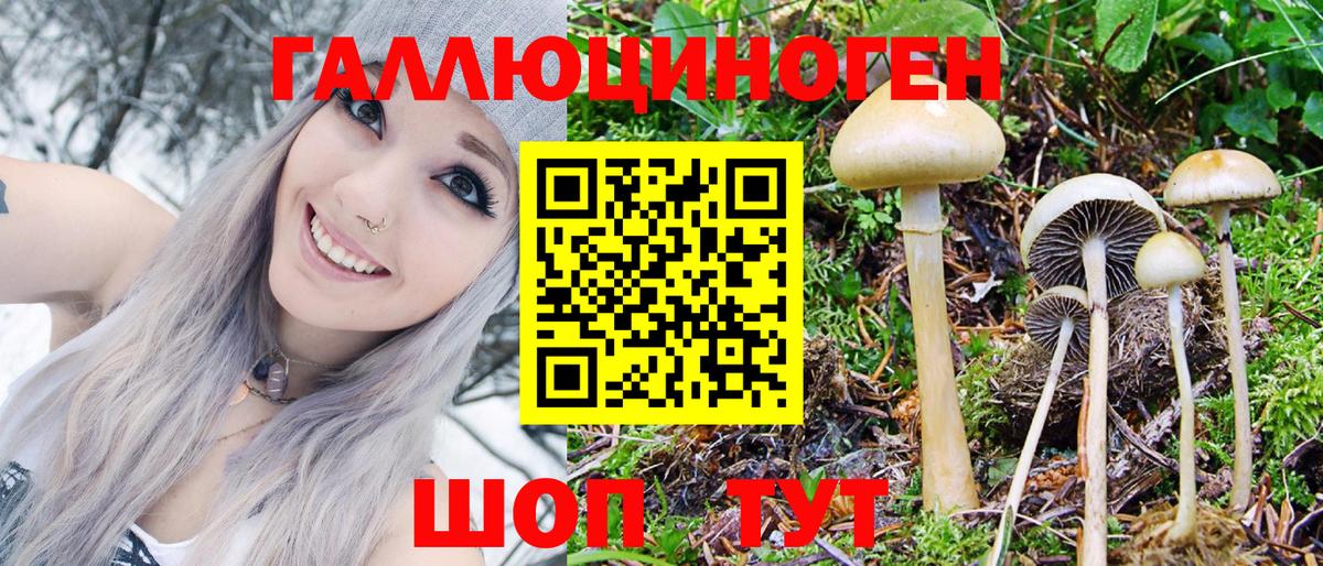 Псилоцибиновые грибы GOLDEN TEACHER  купить   Ливны  Галлюциногенные грибы прущие грибы  Вход с VPN 